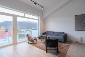 Staying Apt 3 - New and modern